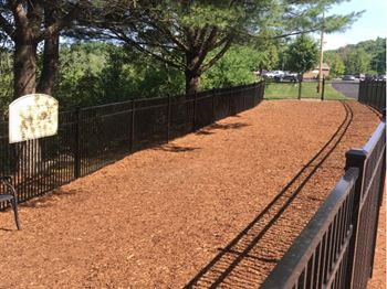 Dog park1